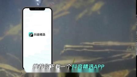 抖音和抖音精選有何區別？